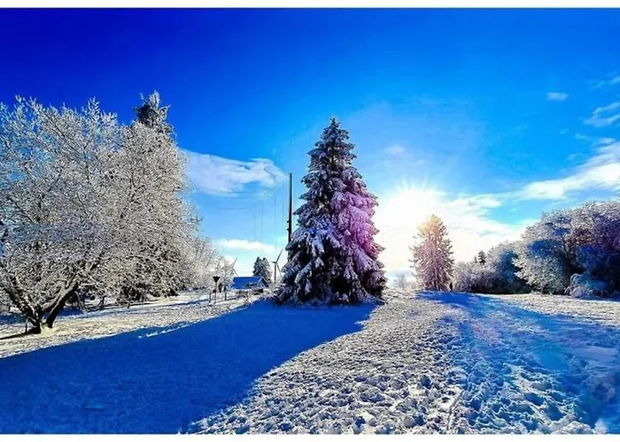 بيت للعطل Casita - Sterneferienhaus Mit Garten, Sauna Und Wallbox *